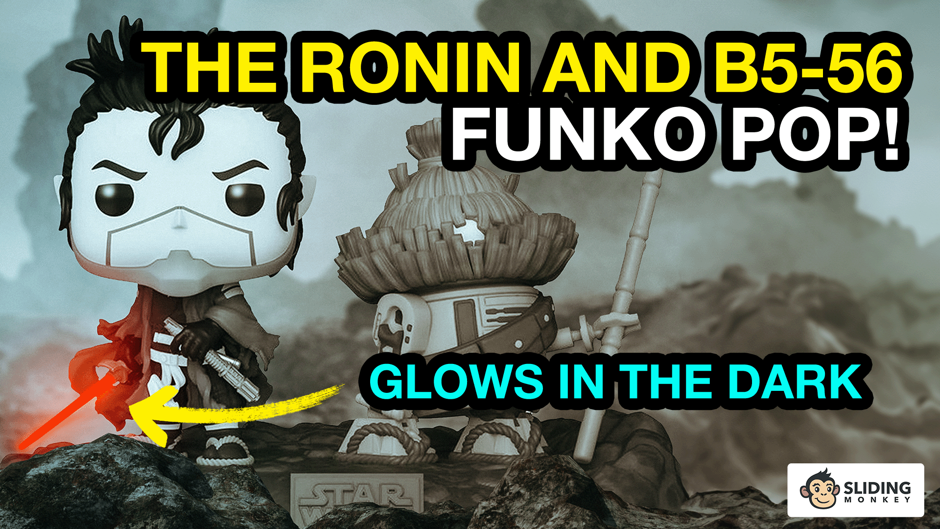 Amazon.com: Funko POP! Star Wars: Visions - The Ronin and B5-56